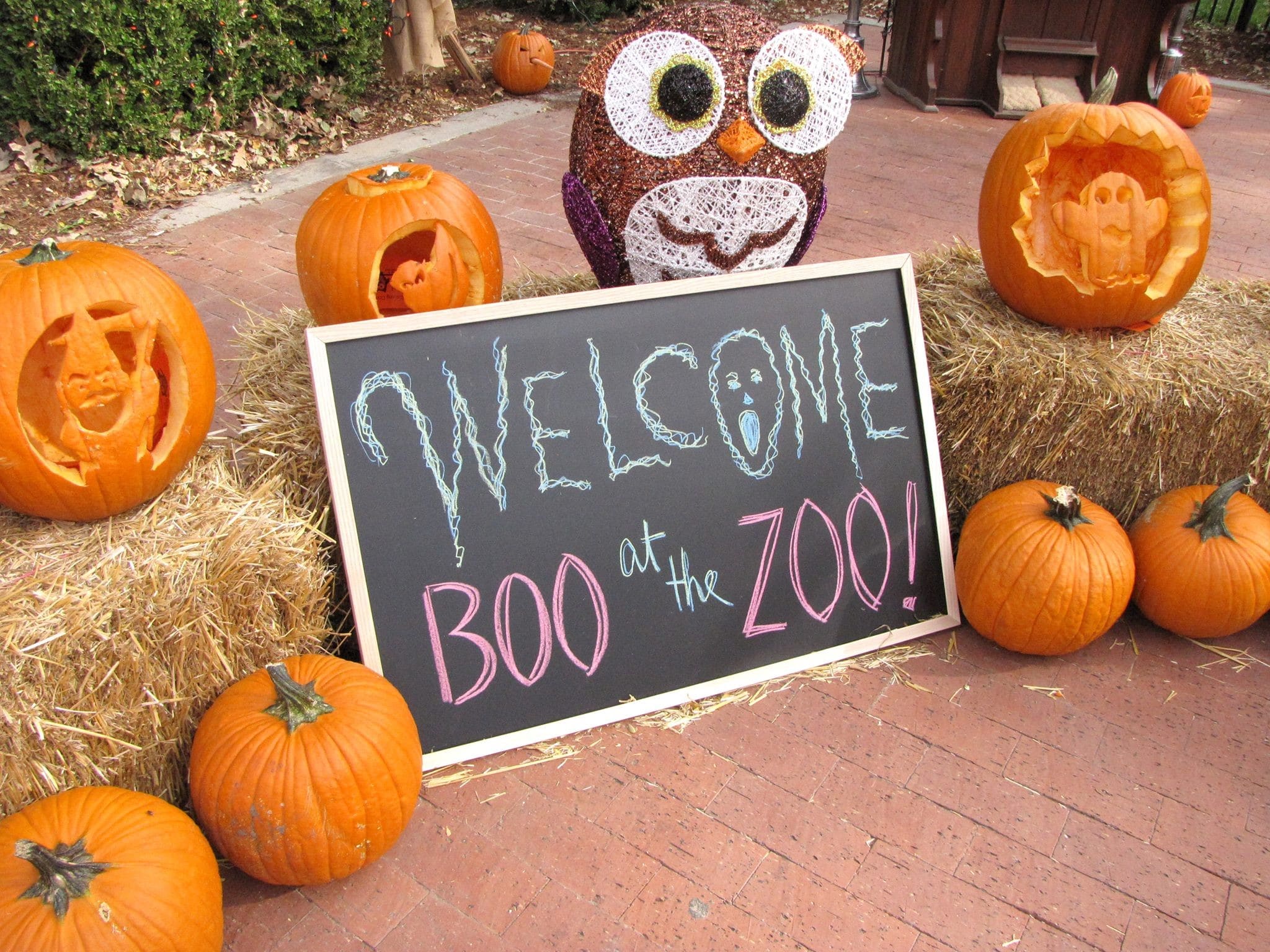 Boo! at the Zoo Finney County Kansas Garden City Attractions and